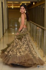 Kashmira at Nartanasala Pre Release Event